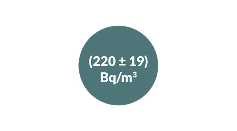 Misure di lungo periodo del gas Radon